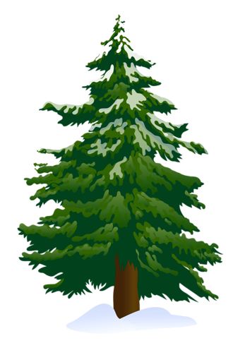 Tree clip art snowy pine tree - Clipart Pine Tree