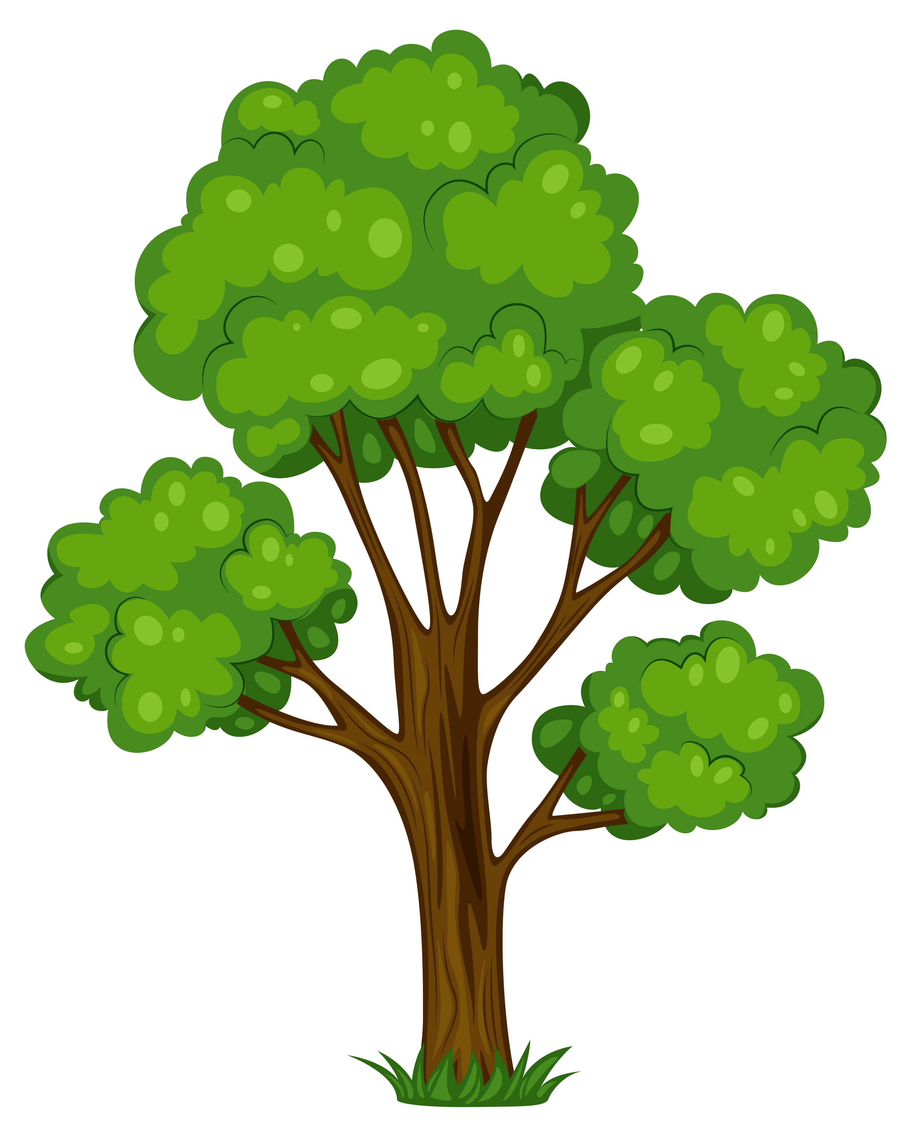Tree Clipart - Clipart Of Trees