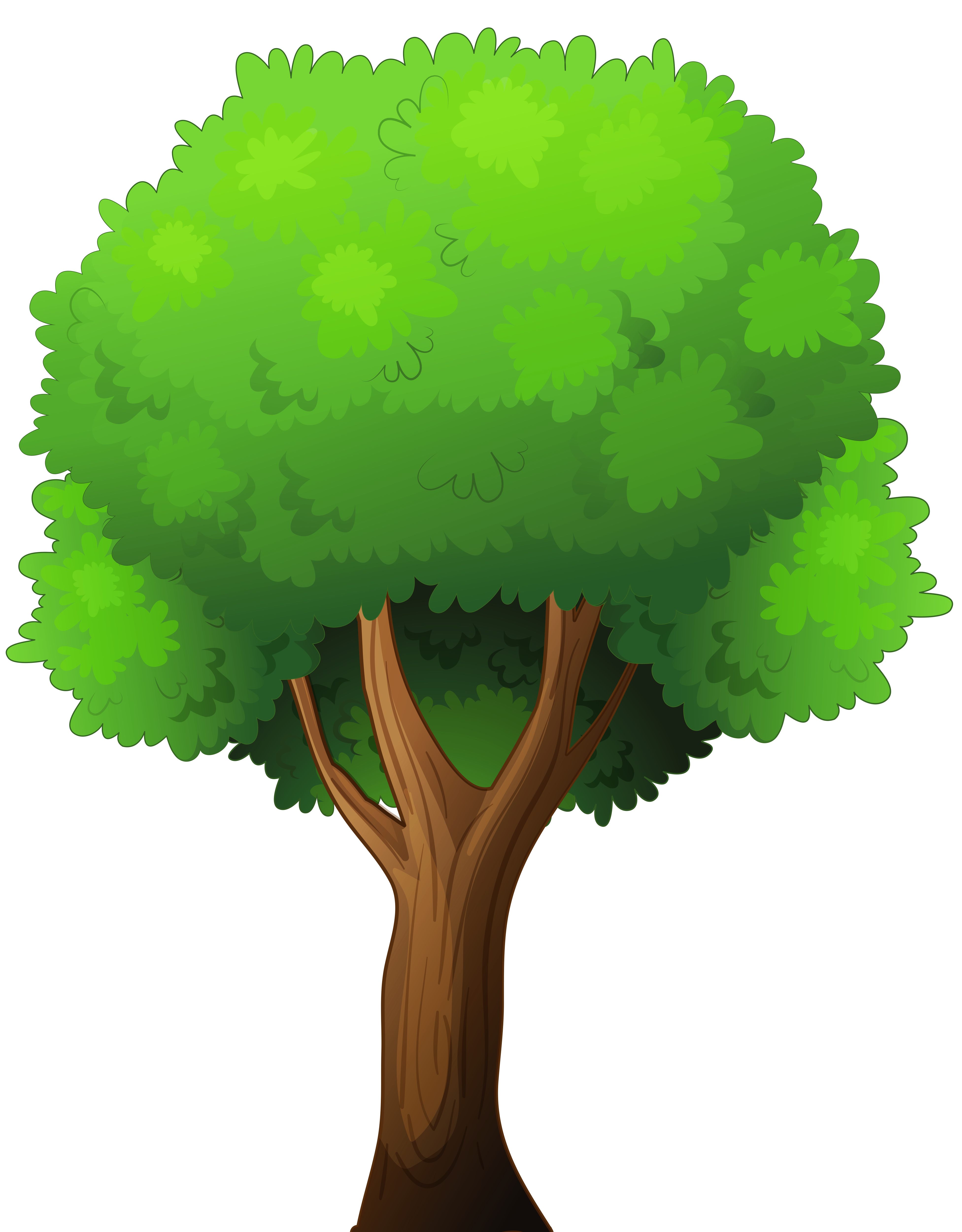 tree clipart png - Clipart Of A Tree