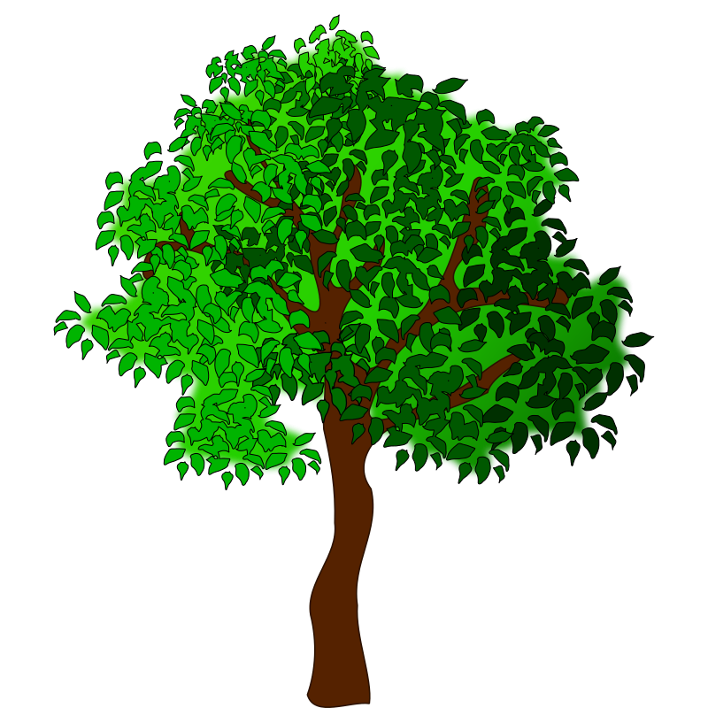 Tree clipart, Trees vector - Clipart Of A Tree