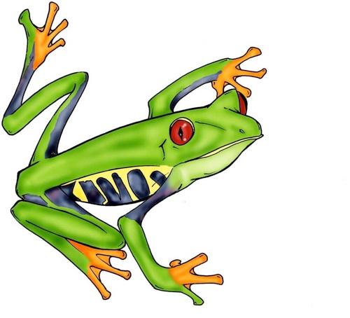 Tree Frog Drawing Clipart Pan - Tree Frog Clipart