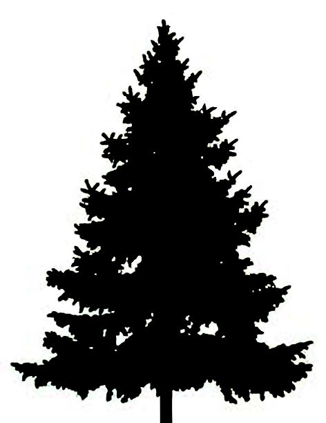 Tree Silhouette Clip Art Clipart-fir tree January