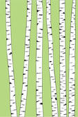 Tree Silhouette u0026middot;  - Birch Tree Clipart