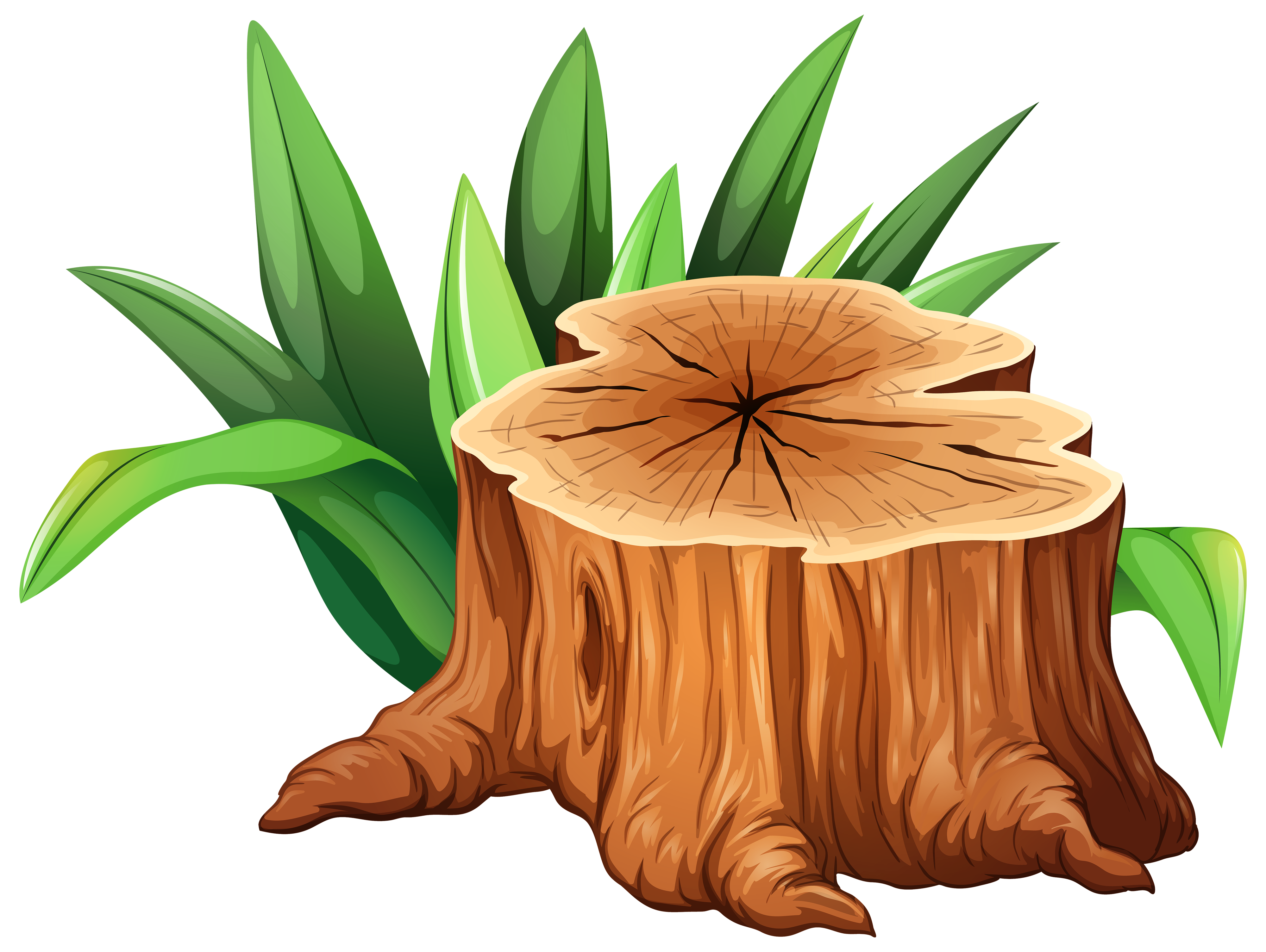 Tree Stump Stock Illustration
