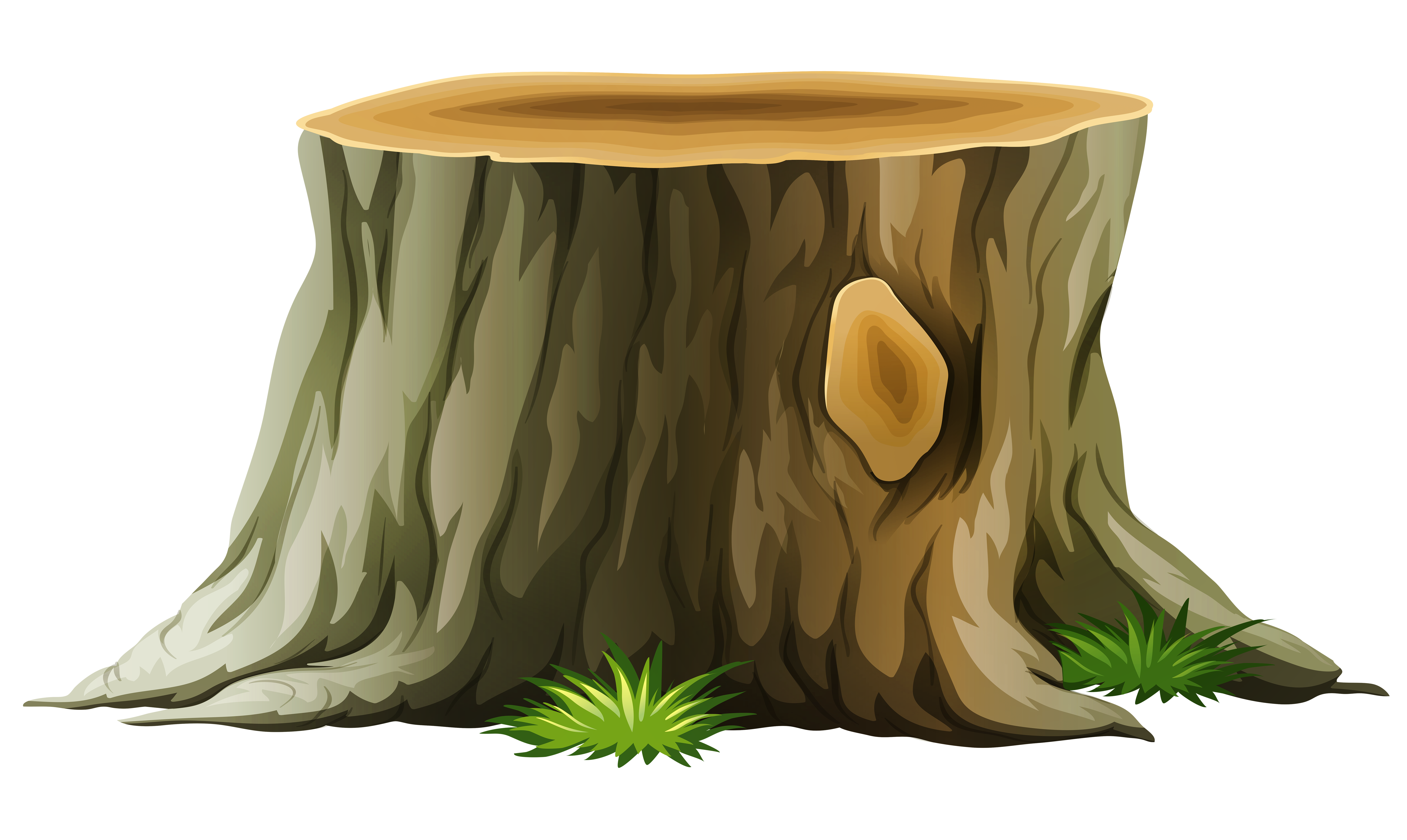 Cartoon Tree Stump Cliparts C