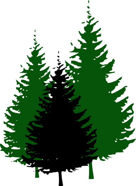 Evergreen Tree Brown Clipart
