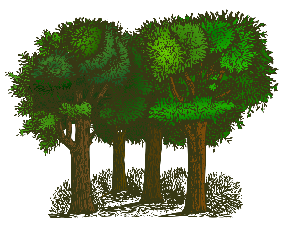 Trees - Clipart library - Clipart Of Trees
