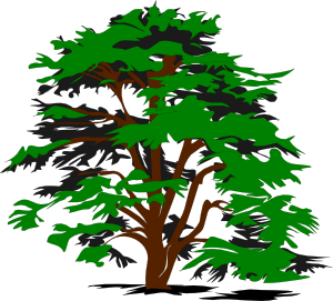 Trees simple tree clip art at - Clip Art Trees