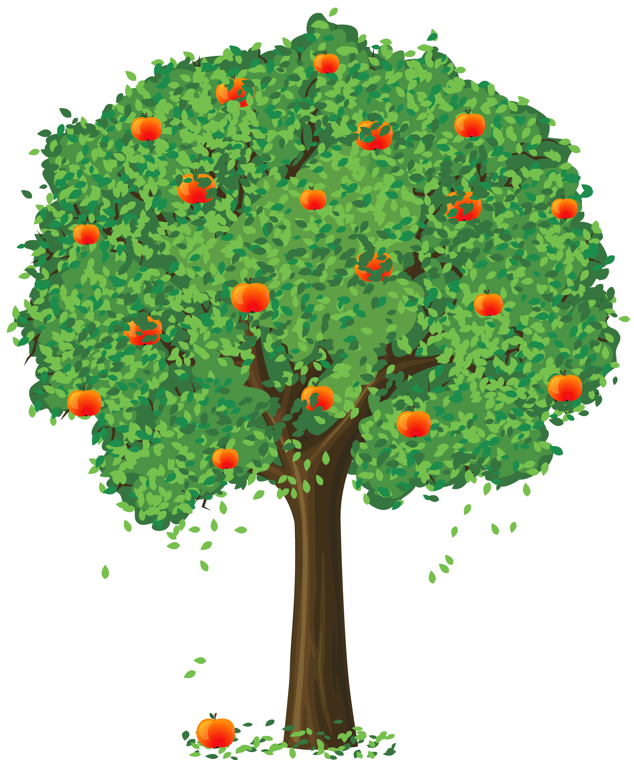 Trees tree apple orchard clipart clipart kid