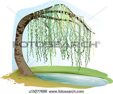 trees, tree, plants, puddle, willow, tree, plant. ValueClips Clip Art