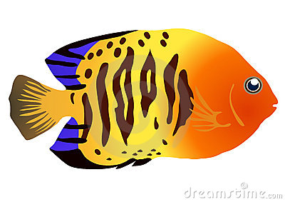 tropical fish clip art