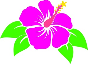 Tropical Flower Clipart Image Pink Hibiscus Tropical Flower