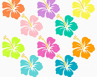 Tropical Flowers Clip Art Border Hibiscus Clipart Flower Luau