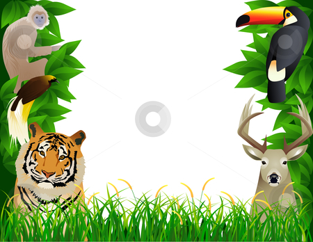 Tropical Jungle Stock Vector  - Free Jungle Clip Art