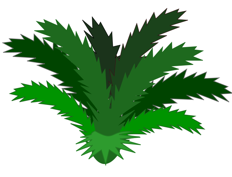 Tropical Palm Leaf Clip Art You Can Use This Clip Art Of