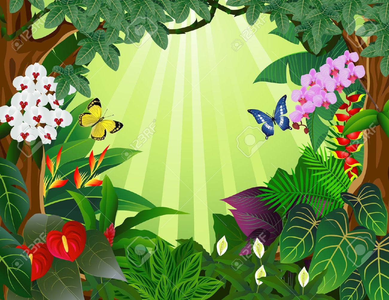 Tropical Forest Background St
