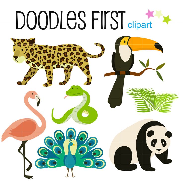 Tropical Rainforest Animals Digital Clip Art for Scrapbooking Card Making Cupcake Toppers Paper Crafts by DoodlesFirst