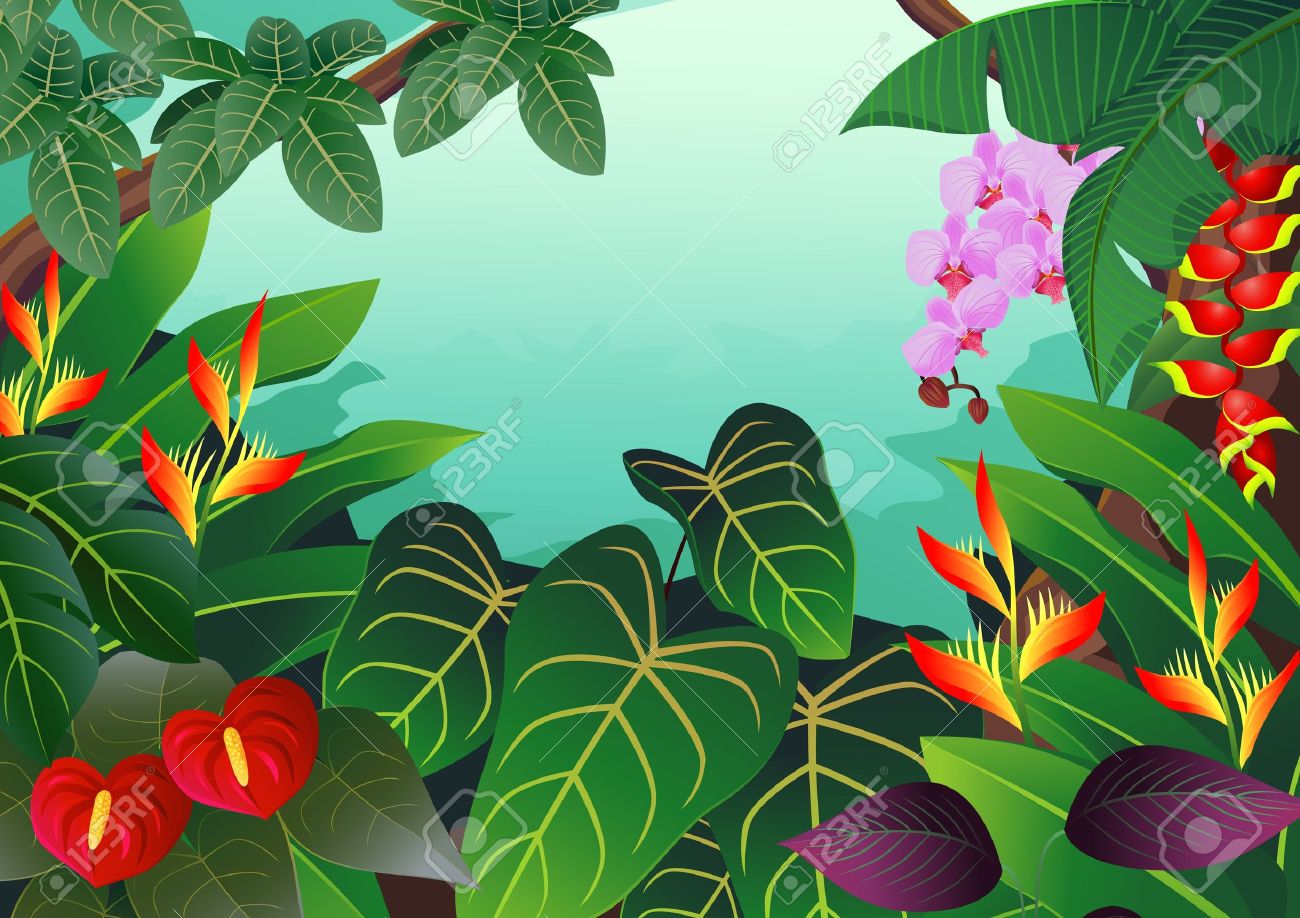 Tropical Rainforest Clip Art