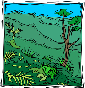 Tropical Rainforest Clipart 0 - Tropical Rainforest Clipart