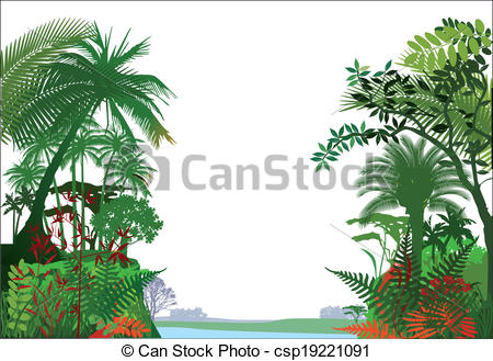 ... tropical rainforest Jungle