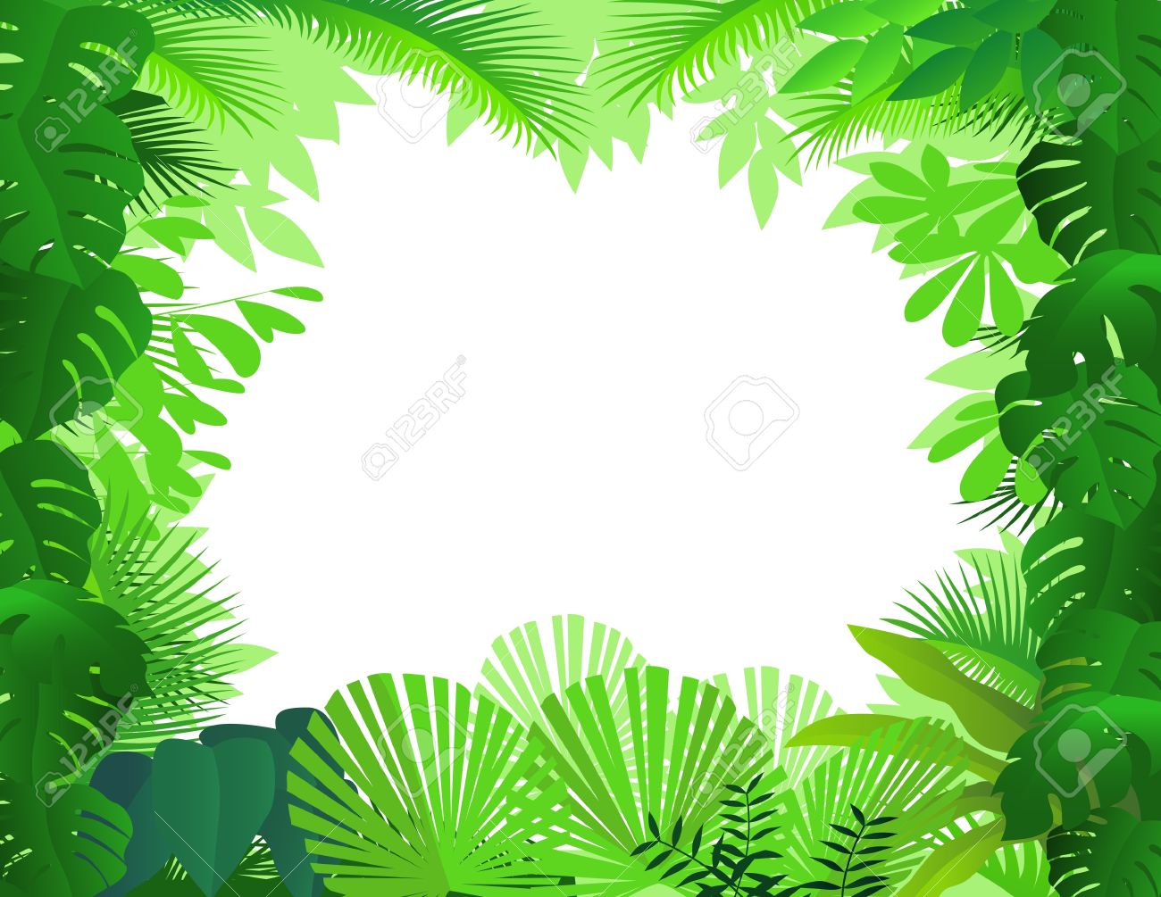 Tropical Forest Background St