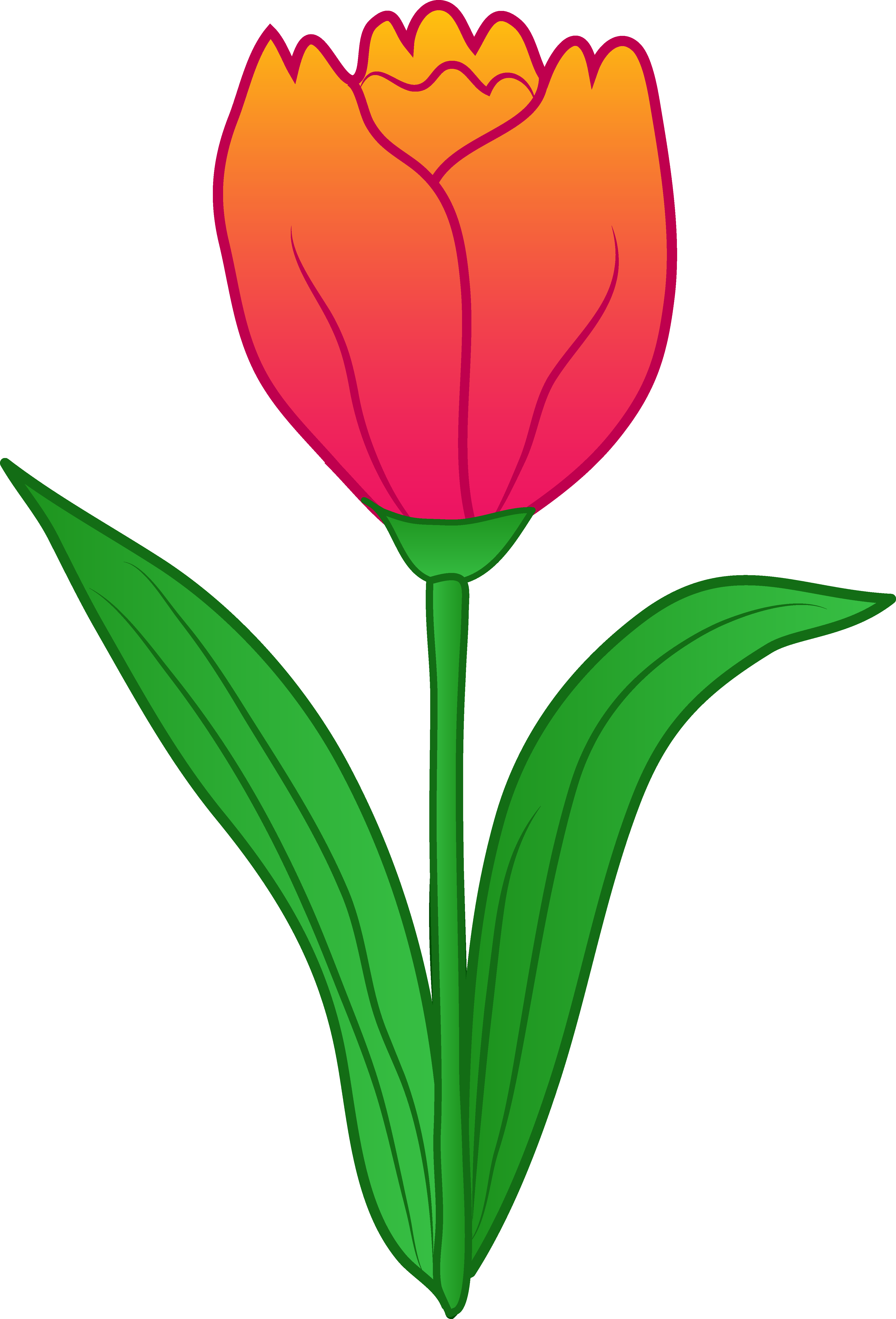 Tulip Clip Art - Tulip Clipart