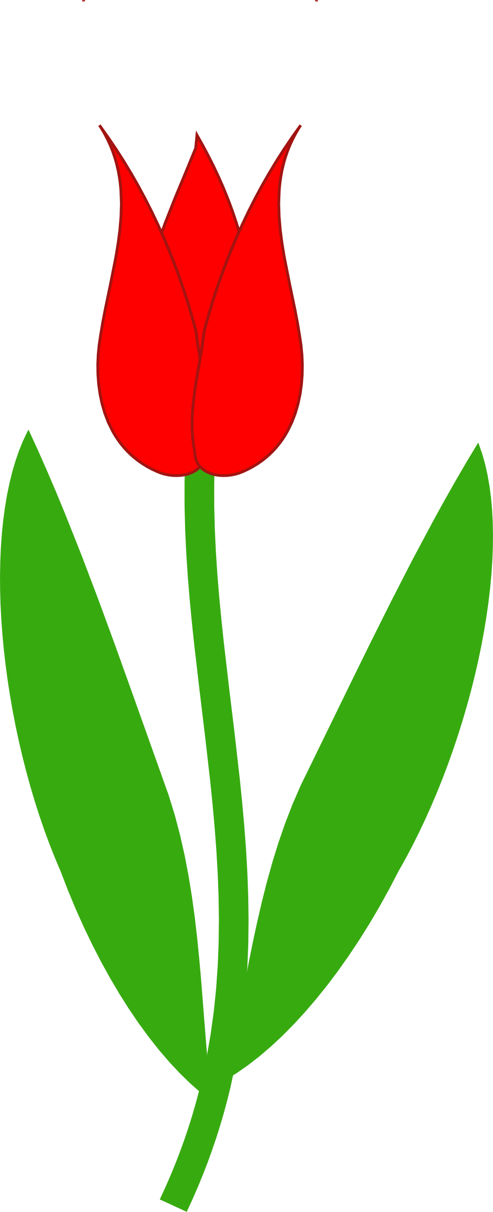 Tulip Clipart Red Tulip 999px Png 86 K