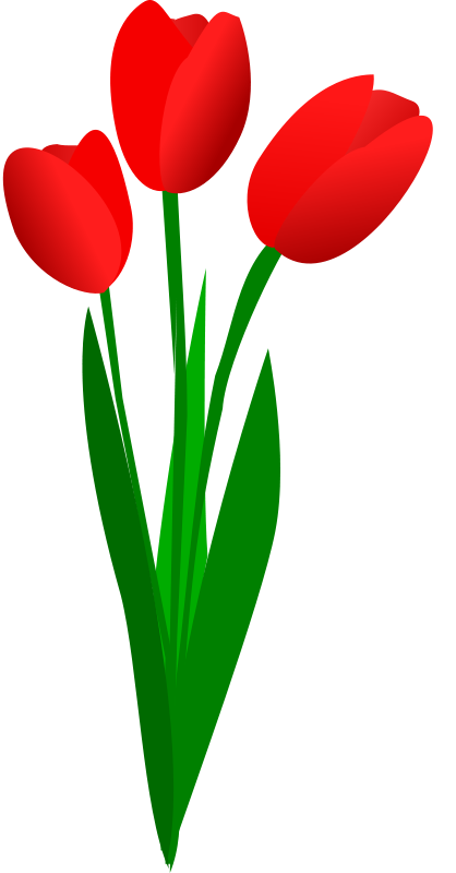 Tulip Flower Clipart