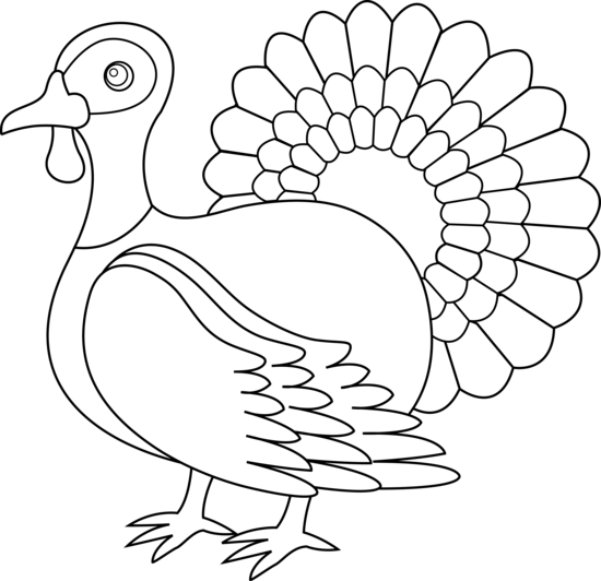 Turkey black and white thanks
