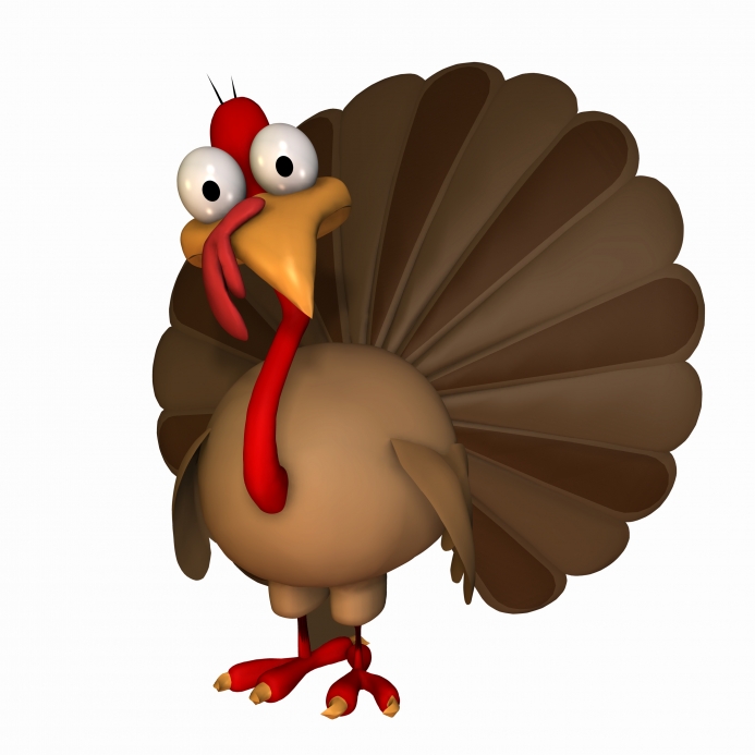 Picture of a turkey holding a