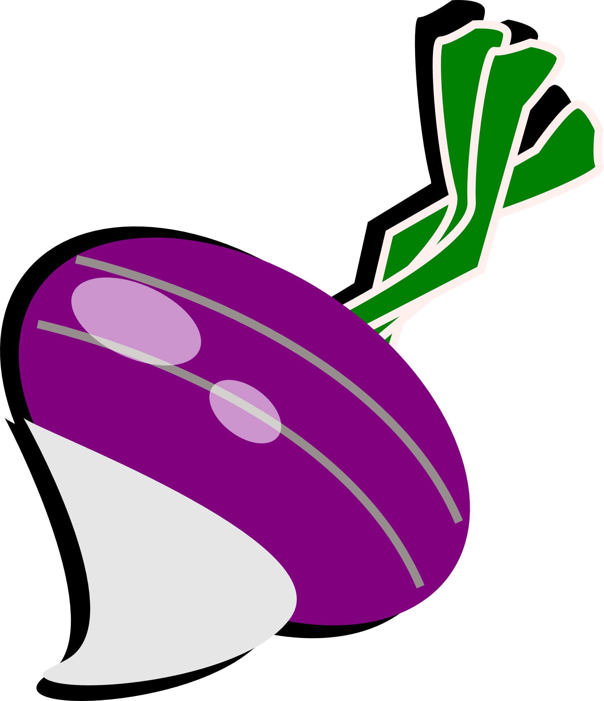 turnip clipart