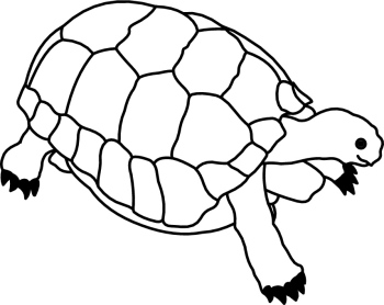 turtle clipart black and white