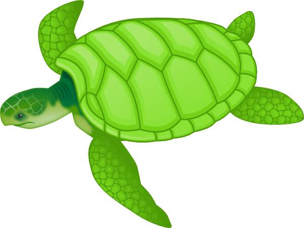 sea turtle: Cute turtle carto
