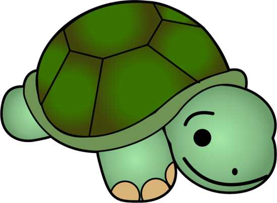 Turtle Clip Art - Clip Art Turtle