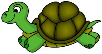 cute turtle clipart
