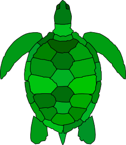 Turtle Clip Art - Turtle Shell Clip Art