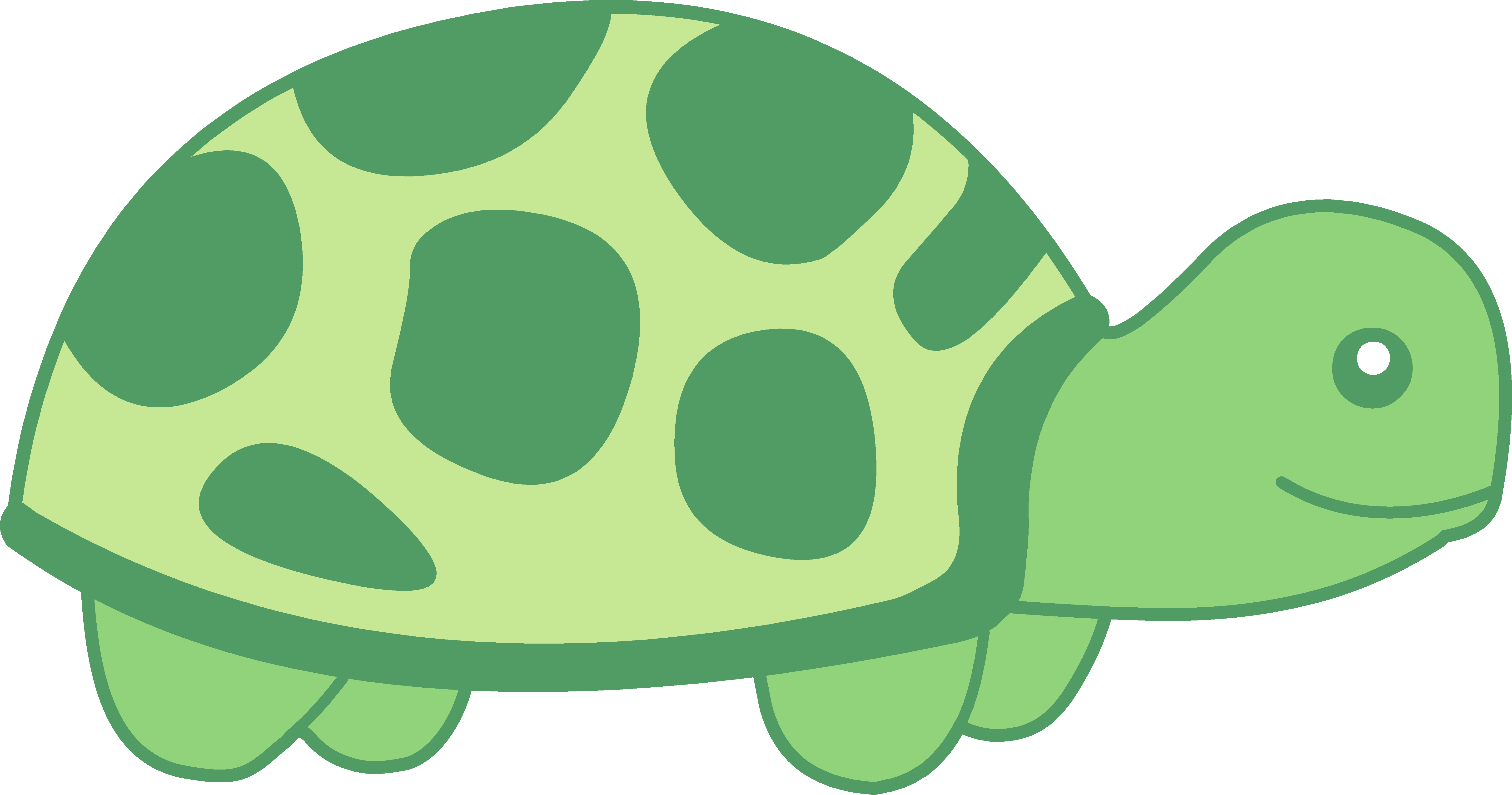 Cute turtle clipart - .