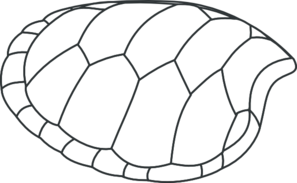 Turtle Shell Outline Clip Art