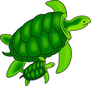 Turtles Clip Art