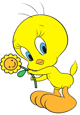 10 Best images about Tweety B