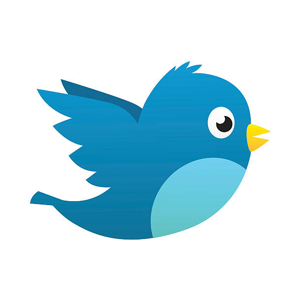 Social media blue bird vector art illustration