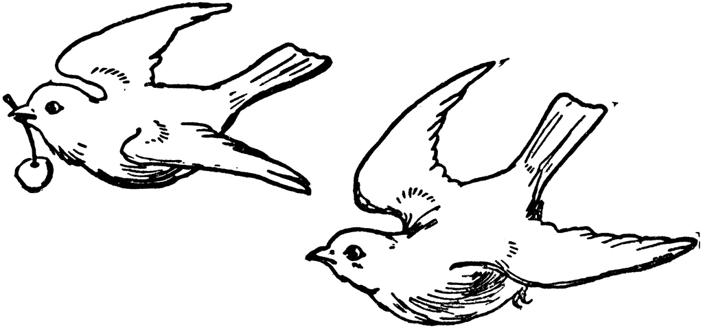 Two Birds Clipart Etc - Birds Clipart Black And White