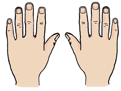 hand clipart