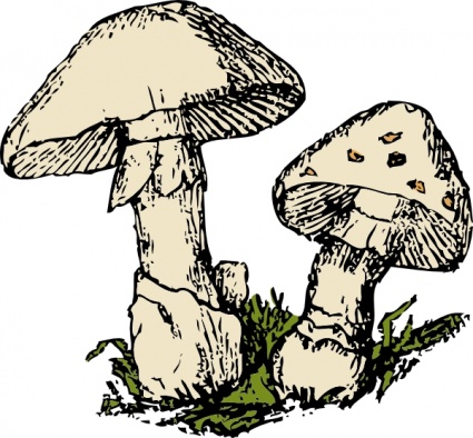 ... two_mushrooms_clip_art.jpg; Mushroom Clip Art ...