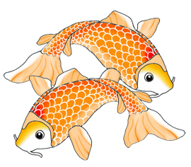 Two Orange Koi Fish Swimming  - Koi Fish Clipart
