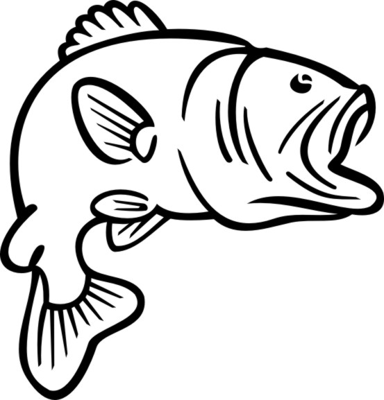 Ugly Animals Home Animals Fis - Bass Fish Clip Art