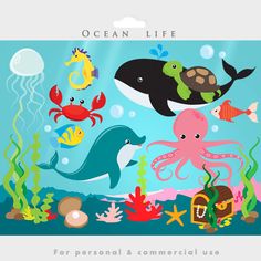 Under the ocean - sea clip art, fish, seaweed, dolphin, whale, jellyfish, starfish, shell, coral, octopus, treasure chest pearl turtle, crab