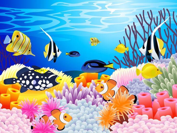 Undersea Picture Of Colorful Sealife With Some Coral Ocean