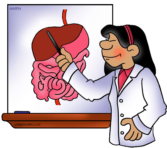 Unit 3: Digestive System . - Digestive System Clipart