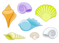 Colorful Seashell Clipart .